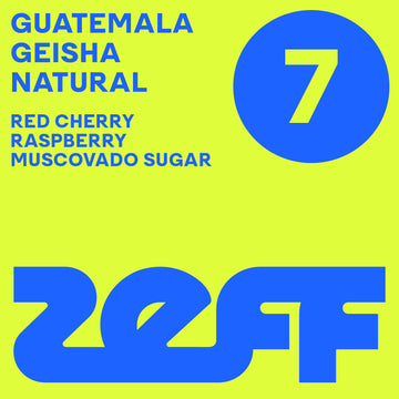 Guatemala Geisha - Natural