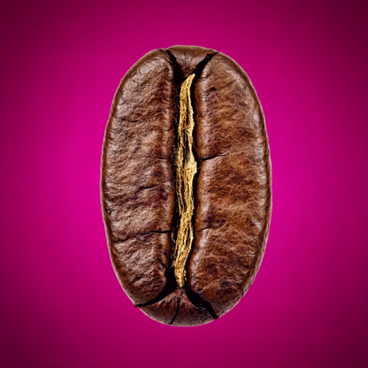 Colombia Red Bourbon - Washed