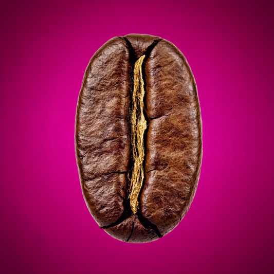 Colombia Red Bourbon - Washed