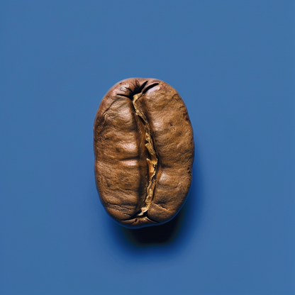 Ethiopia Kochere Washed